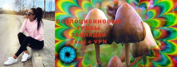 COCAINE Горно-Алтайск
