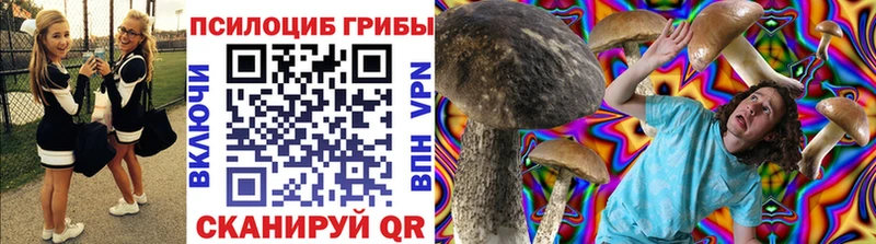 где продают наркотики Данков Псилоцибиновые грибы прущие грибы